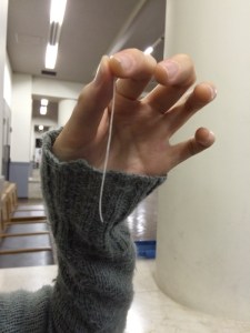 2983373587F21D897CE0C264C39211AE85FD08D8DCB8A8F533pimgpsh_fullsize_distr