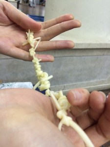 3EEDA0157B6AF240351F164196BC85DCC6B613F843DECE0C86pimgpsh_fullsize_distr