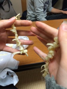 BDAC9FAC7155EEBAF60AB92565D88E589CF83C35D0775F1383pimgpsh_fullsize_distr